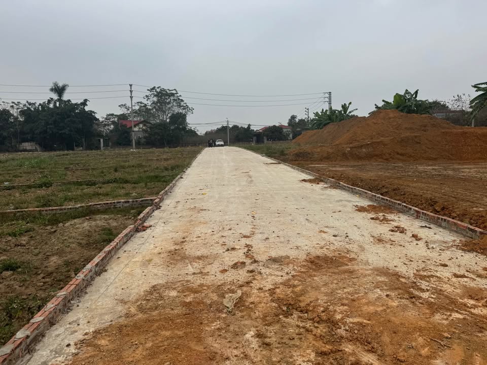 Đất thổ cư 150m² (261m²) tại thôn Phú Mỹ, Ba Vì - Sổ đỏ chính chủ chỉ 300 triệu!