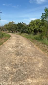 Đất nền sổ đỏ 1 sào tại Đồng Tâm, Đồng Phú - Giá chỉ 300 triệu