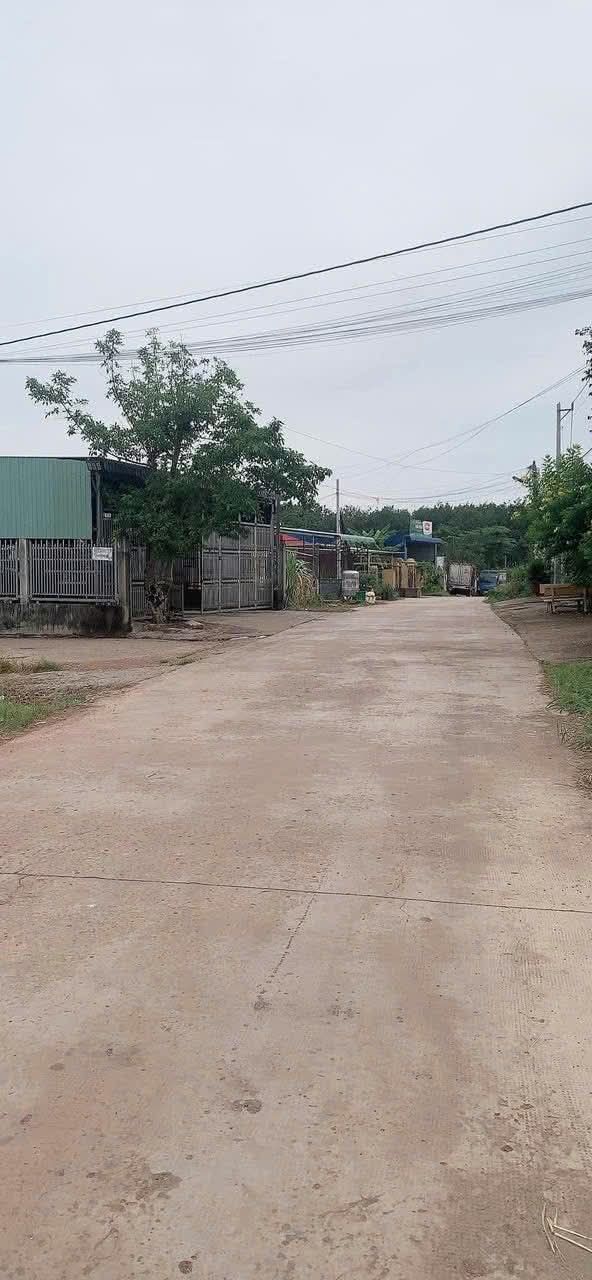 Đất nền đầu tư tại Tân Phước, Đồng Phú 6000m² - Giá thỏa thuận hấp dẫn!