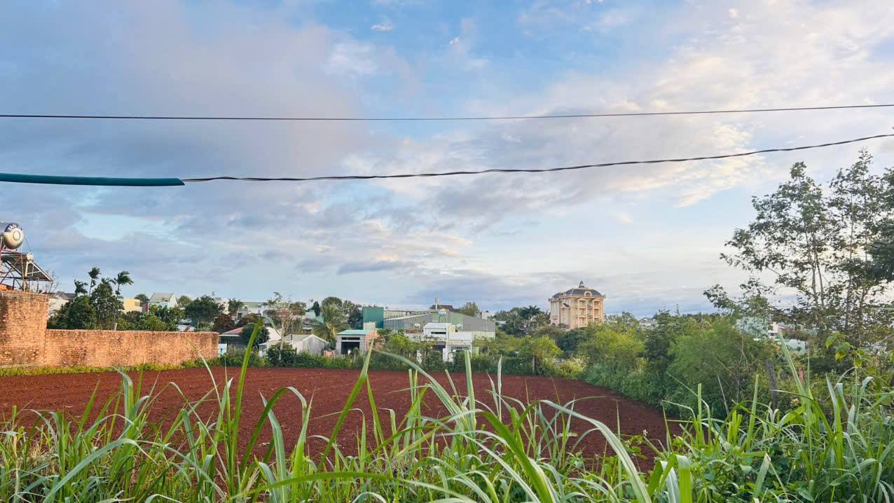 Nhà hẻm 21 Nguyễn Tuân, An Phú, Pleiku 132m² - Giá chỉ 800 triệu!