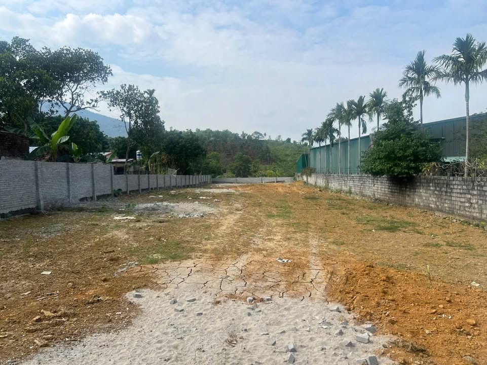 Đất nền Tiến Xuân Thạch Thất 1130m² - Sổ hồng chính chủ, cơ hội đầu tư lý tưởng!