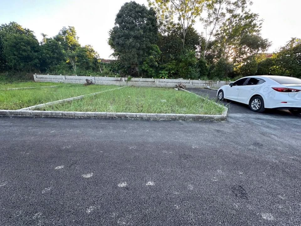 Đất nền lô góc đẹp tại Phường Tùng Thiện, Hà Nội 100m² - Giá đầu tư sinh lời tốt!