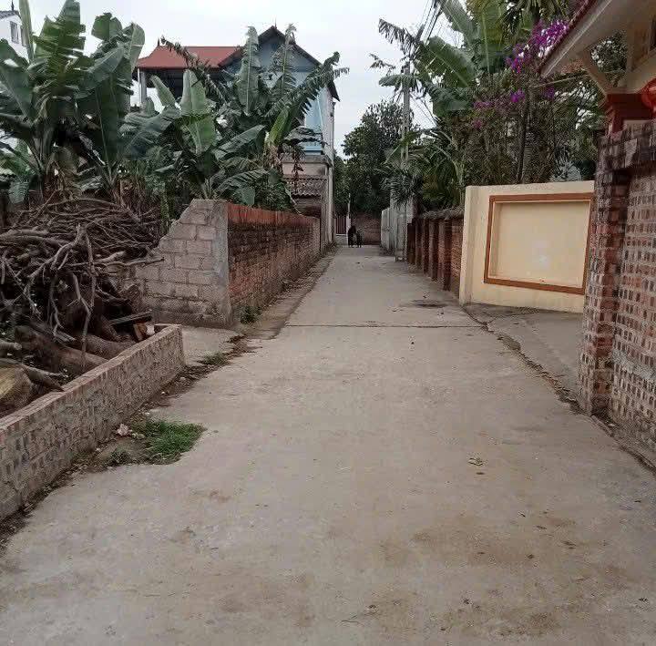 Đất thổ cư 87m² tại Sen Phương, Phúc Thọ - Giá chỉ 2 tỷ, ô tô đỗ cửa!