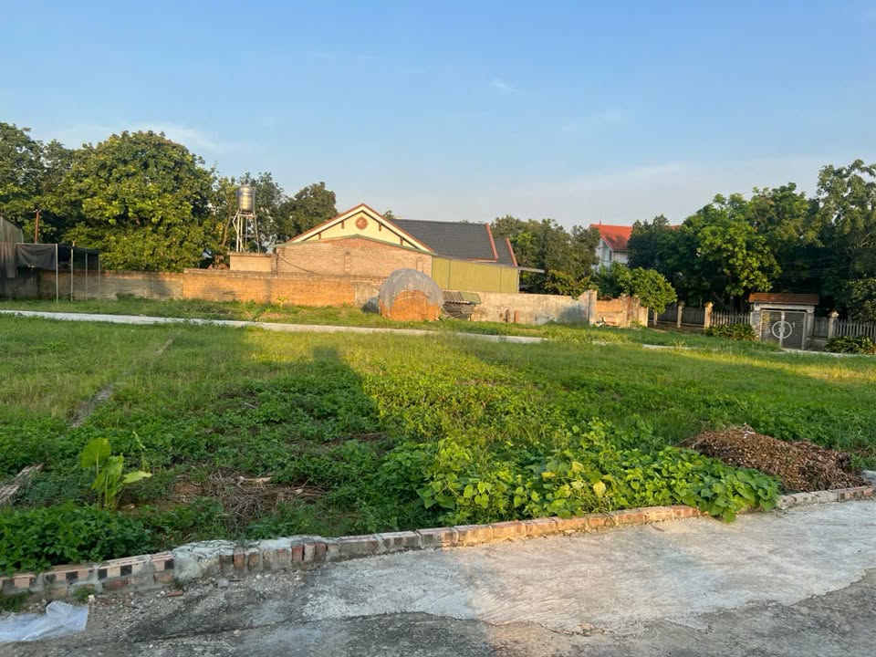 Đất thổ cư Sơn Đông 100m² giá 2 tỷ - Đường ô tô tránh nhau!