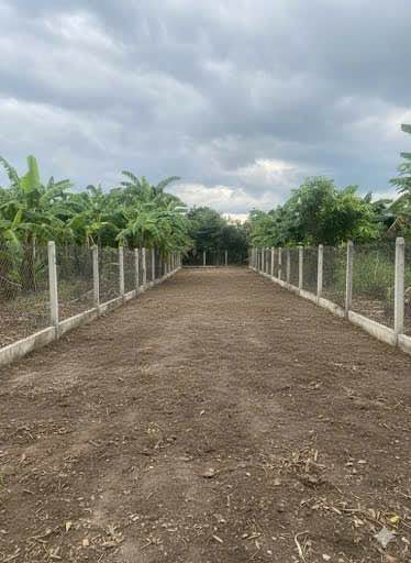 Đất nền Diên An, Diên Khánh 254m² chỉ 2.667 tỷ - Cơ hội đầu tư tuyệt vời!