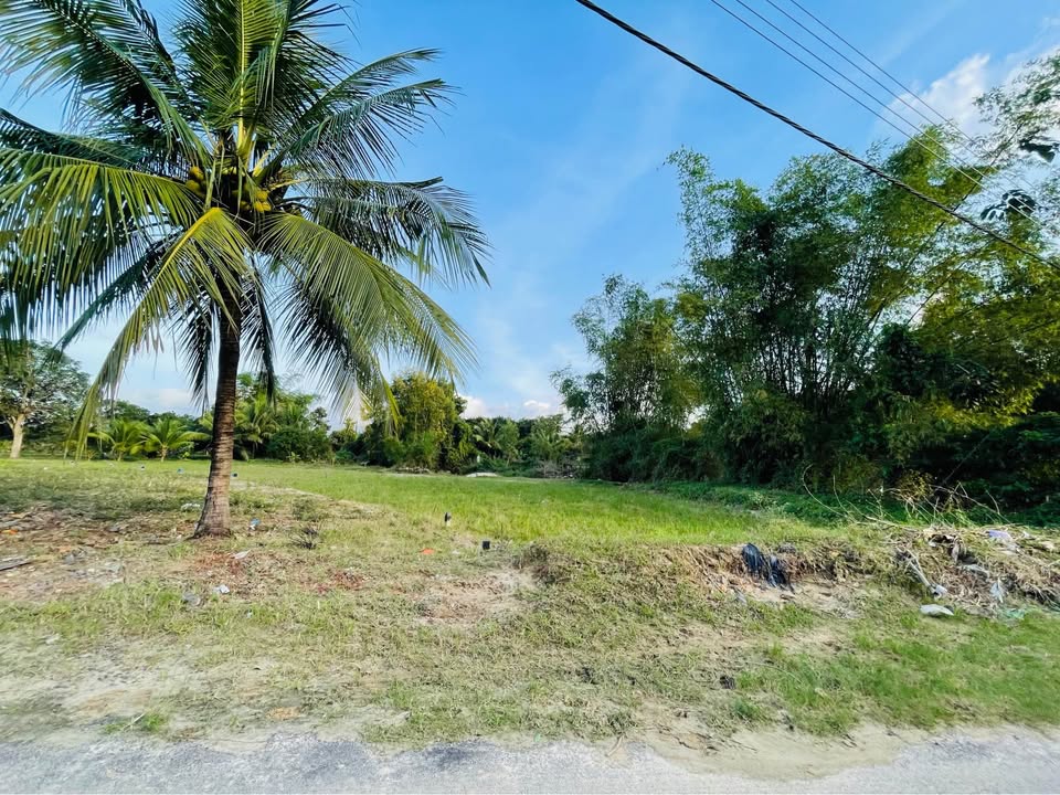 Đất nền Suối Hiệp, Diên Khánh 1256m² giá 2.5 tỷ - Cơ hội đầu tư hiếm có!