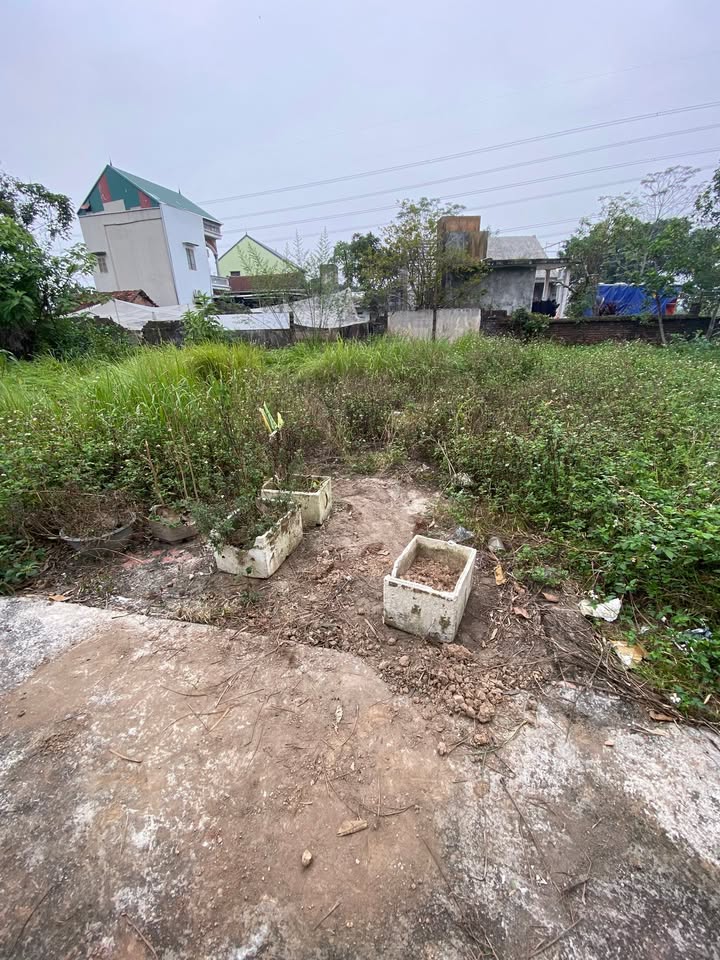 Đất nền xóm Trại, Thanh Mai 50m² giá 2 tỷ - Đường ô tô tránh nhau, bán gấp!