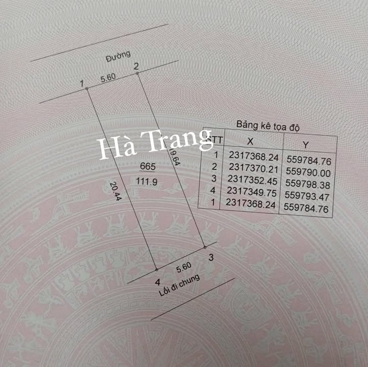 Lô đất thổ cư Phú Cát, Quốc Oai 111.9m² - 2 mặt ngõ ô tô vào tận nơi!