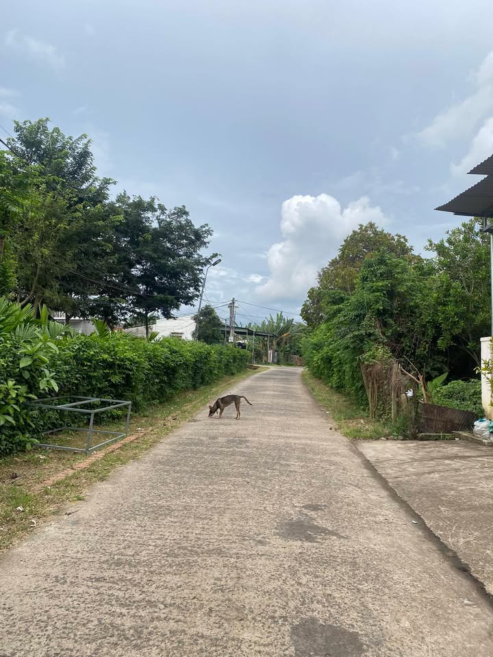 Đất thổ cư 800m² tại Ea Kar - Giá chỉ 1.75 tỷ - Gần trung tâm!