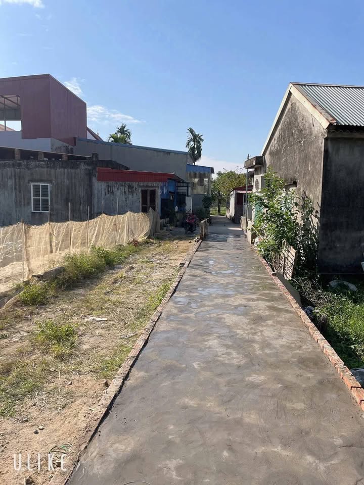 Lô đất 74,5m² tại ngõ 228 Cát Linh, Hải An - Giá chỉ 1.745 tỷ, đầu tư thông minh!