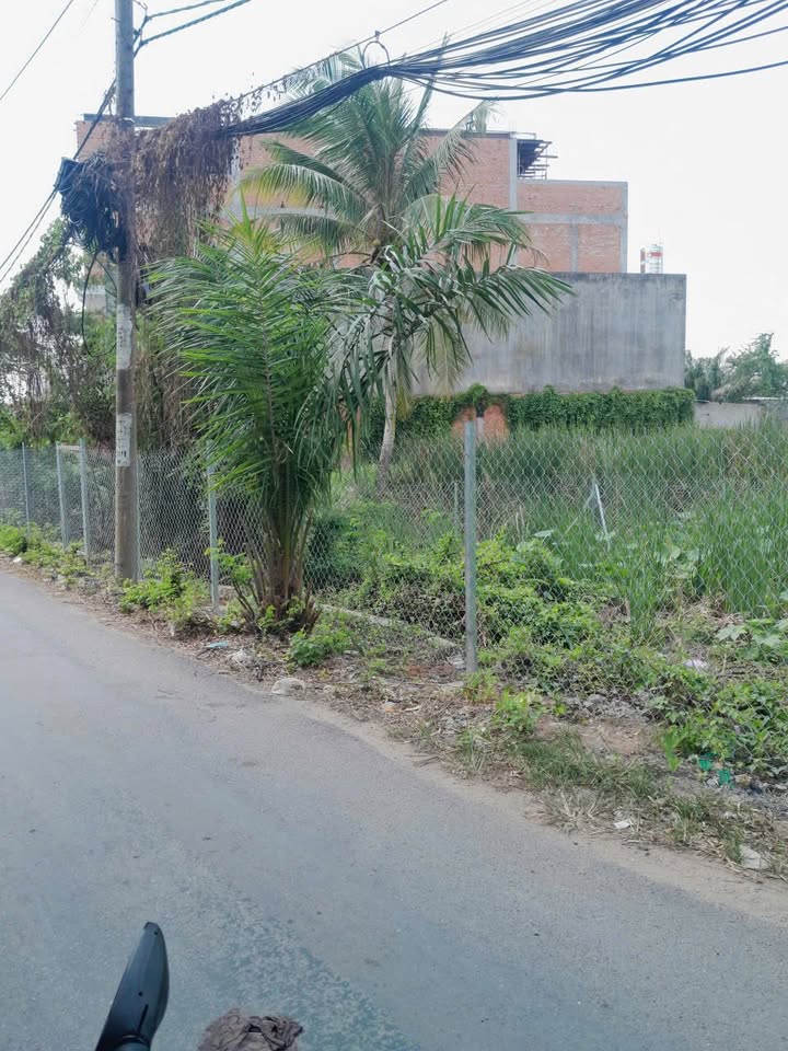 Đất nền mặt tiền đường nhựa Tân Quý Tây 115m² giá 3.2 tỷ - Vị trí kinh doanh lý tưởng!