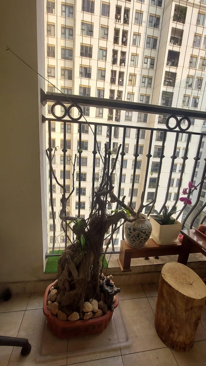 Căn hộ Homeland Thượng Thanh 93m² giá 7.05 tỷ - Thiết kế hiện đại, sẵn sàng vào ở!