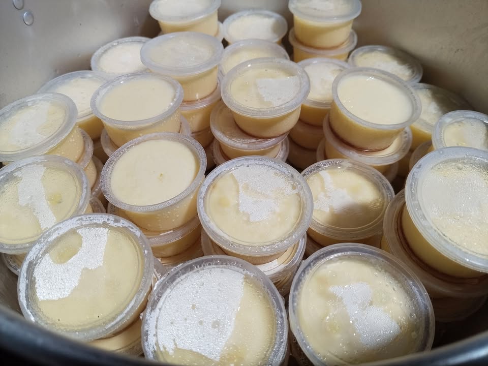 Đất nền đường nhựa thị trấn Phước Bửu 210m² giá 1.5 tỷ - Cơ hội đầu tư tuyệt vời!