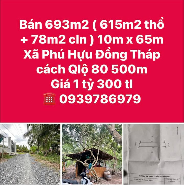 Đất nền 693m² tại xã Phú Hựu, Đồng Tháp giá 1.3 tỷ - Cơ hội đầu tư tốt!