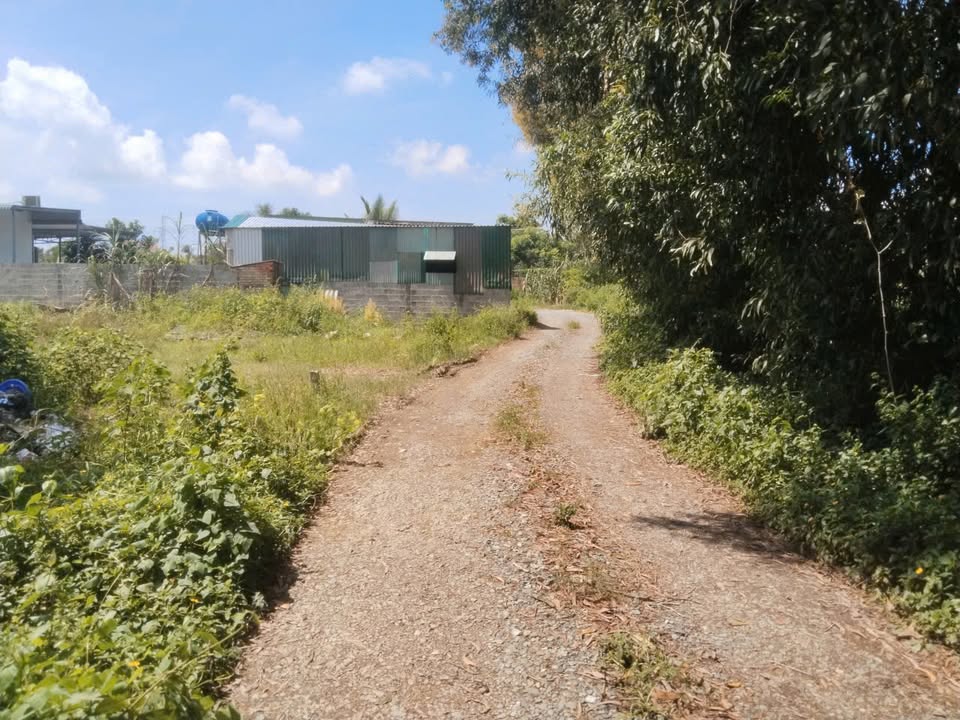 Đất Hẻm Thống Nhất, La Gi 650m² giá 1.2 tỷ - Cơ hội đầu tư hấp dẫn!