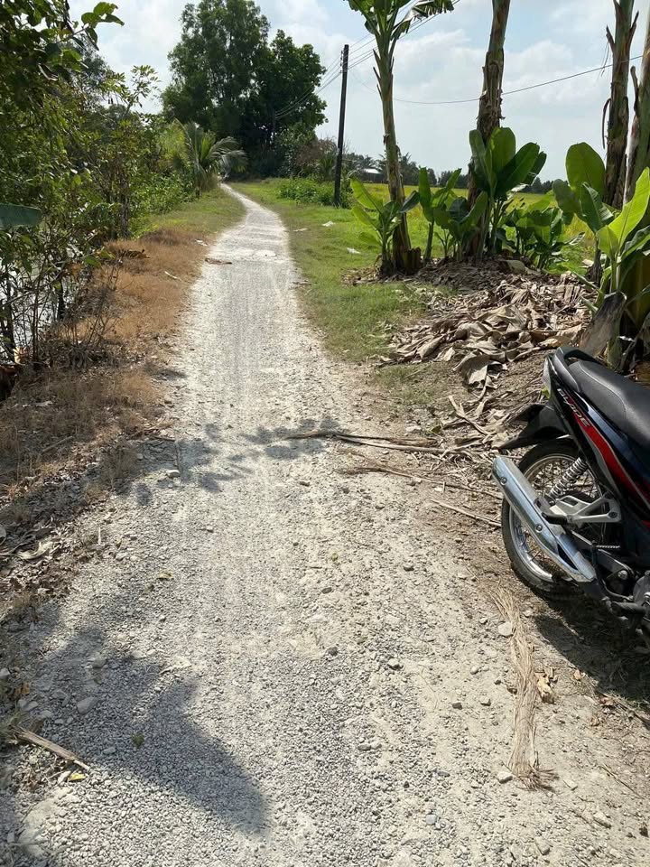 Đất ruộng 25000m² tại ấp Thới Phong, xã Cờ Đỏ, Cần Thơ - Giá chỉ 600 triệu!