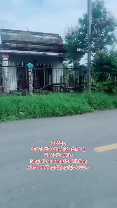 Đất nền Hòa Khánh Đông 1100m² giá 5.2 tỷ - Đầu tư lý tưởng cho nhà vườn!