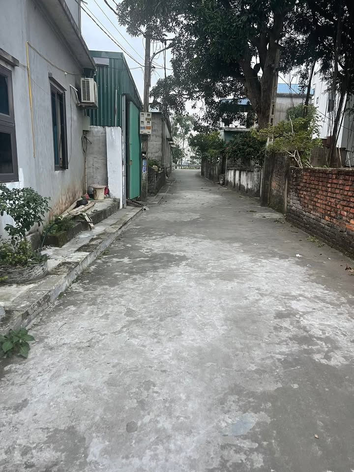 Đất nền Vĩnh Tường 120m² giá thỏa thuận - Hướng Nam thoáng đãng!