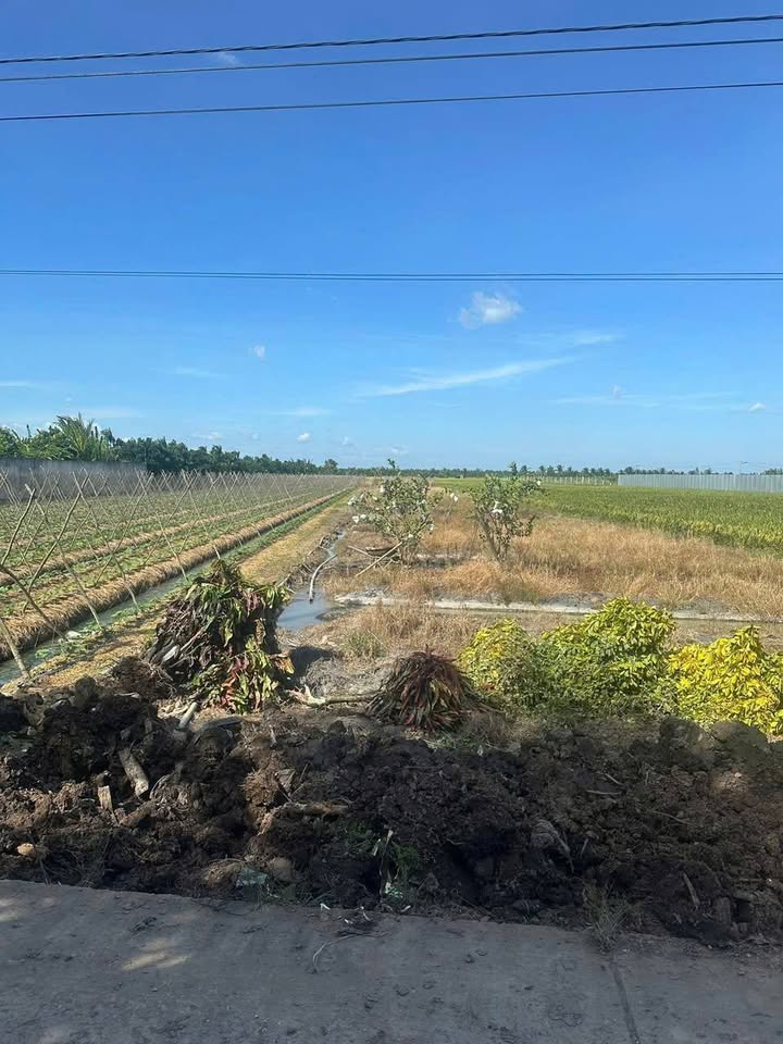 Đất lúa Trường Khánh Long Phú 10,5 công giá 2.097 tỷ - Mặt tiền mở rộng 5m!