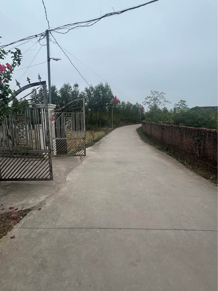 Đất nền Khu 1 Hải Yên 122m² giá chỉ 600 triệu - Đầu tư ngay hôm nay!