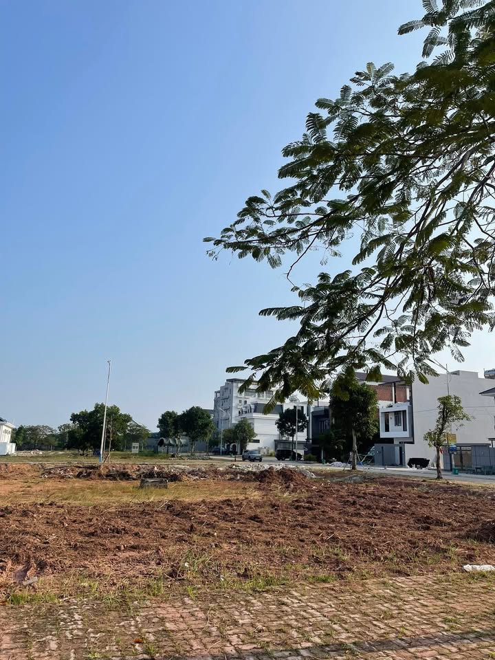 Đất biệt thự góc Lê Chân 321,75m² - Hàng hiếm tại Móng Cái!