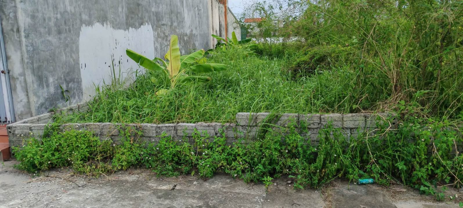 Đất nền Văn Hoàng 125m² giá chỉ 3x triệu - Cơ hội đầu tư không thể bỏ qua!