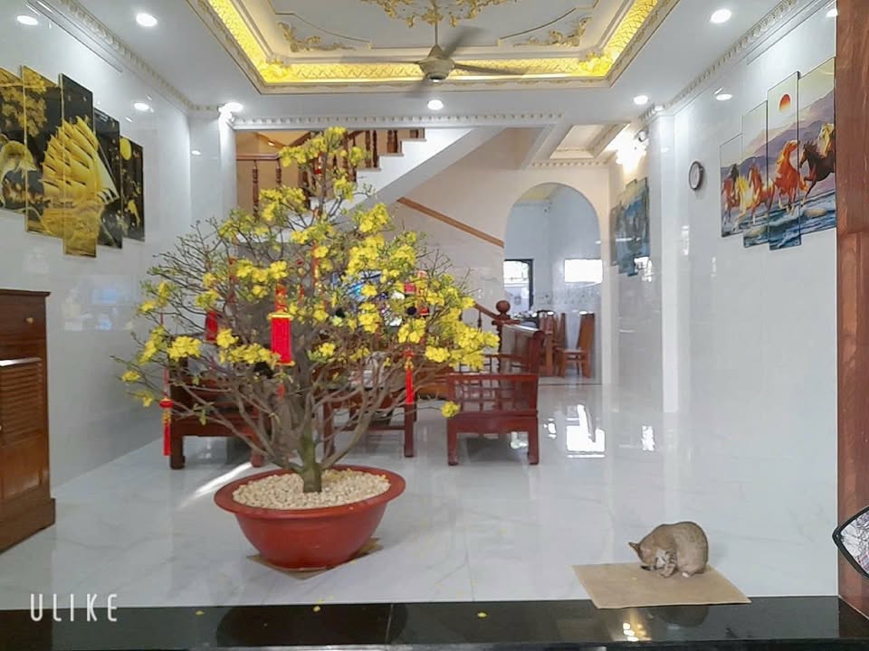 Nhà phố Thới Tam Thôn, Hóc Môn 106m² giá 7.5 tỷ - Nhà đẹp, nội thất cao cấp!