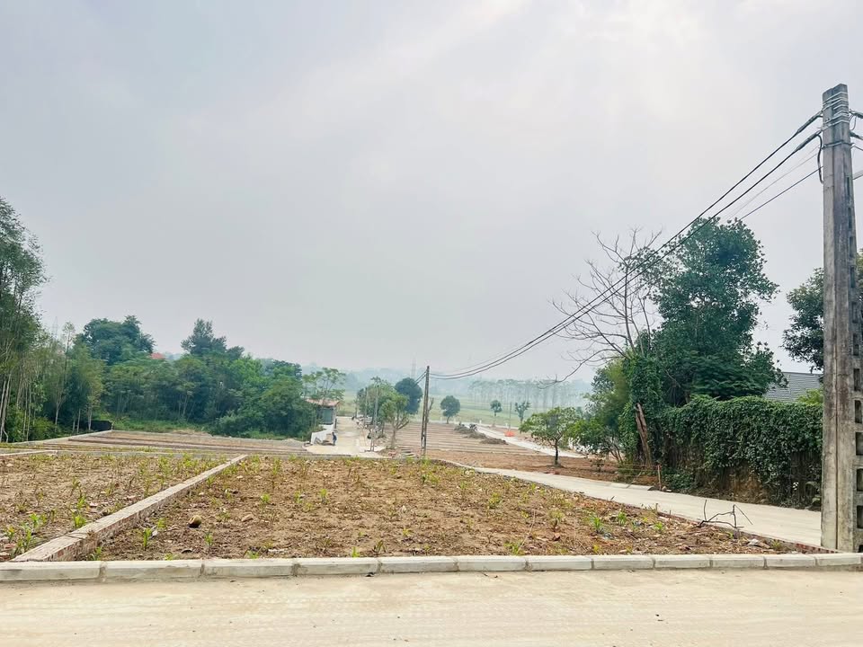 Đất nền KCN Nhuận Trạch 137m² giá 1.37 tỷ - Gần khu công nghiệp sầm uất!