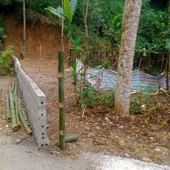 Đất mặt tiền 8m tại phường Hòa Bình, Việt Trì, Phú Thọ 160m² giá 1.36 tỷ - Sổ đỏ chính chủ, thương lượng ngay!