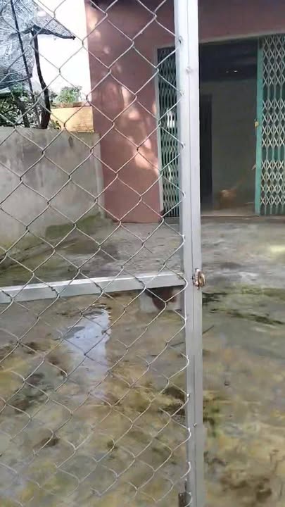 Nhà riêng phường Bình Kiến, Tuy Hòa 90m² giá 400 triệu - Cơ hội đầu tư hấp dẫn!