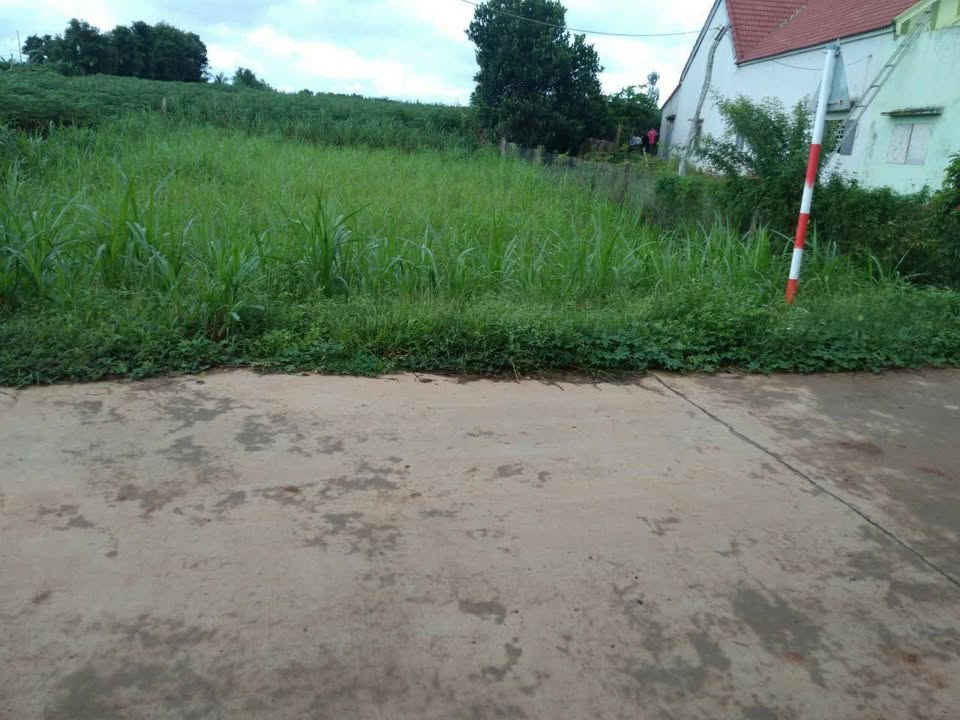 Đất nền Sơn Thành Đông, Tây Hòa, Phú Yên 587m² - Giá chỉ 600 triệu, sẵn sàng sở hữu!