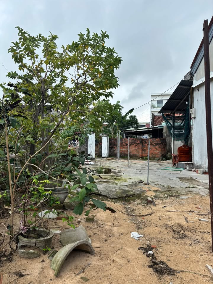 Đất nền Phú Vang Tuy Hòa 79,3m² giá 800 triệu - Cơ hội đầu tư tuyệt vời!