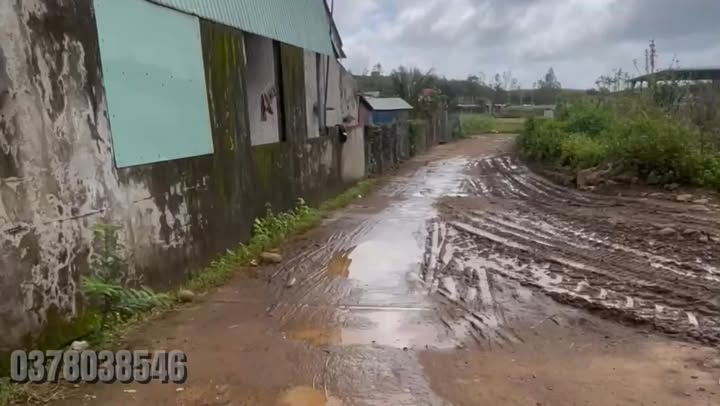 Đất An Thọ Tuy An 3000m² giá 200 triệu - Sổ đỏ chính chủ, đường ô tô vào tận nơi!