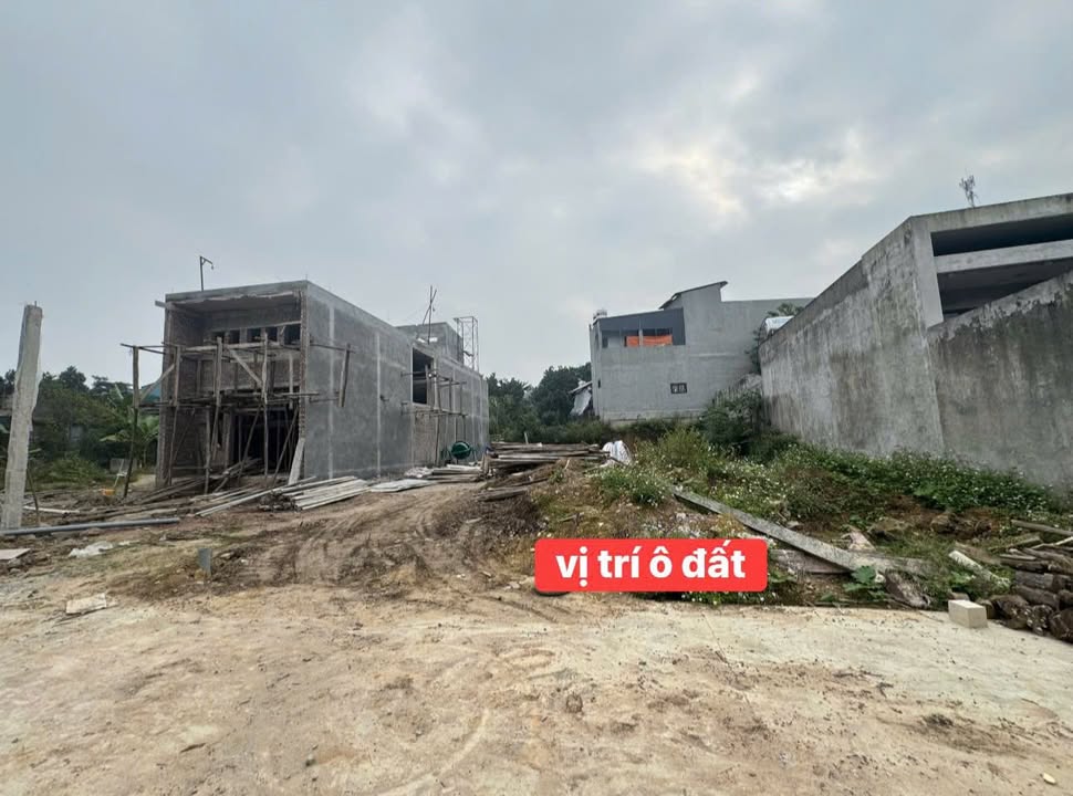Đất nền khu 16 Hoàng Xá - Thanh Thủy, 339m² - Phong thủy đẹp, đầu tư sinh lời!