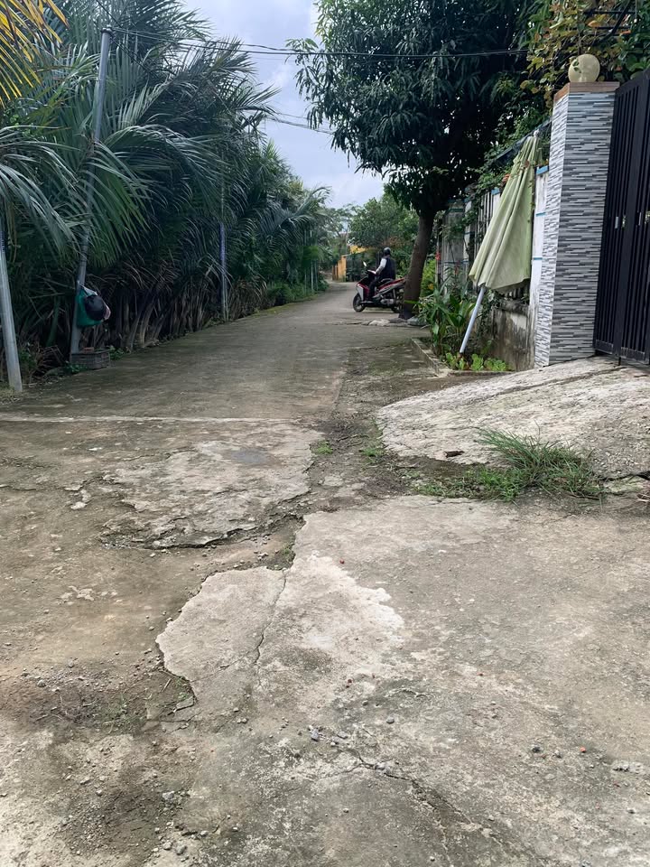 Bán lô đất vườn Cẩm Thanh, Hội An 540m² - Tiềm năng phát triển lớn!