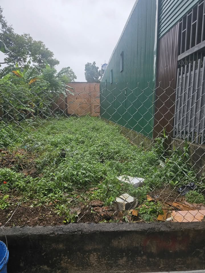 Đất hẻm 81 Yniksor, phường Tân Lập 135m² giá 2.69 tỷ - Cơ hội đầu tư tuyệt vời!