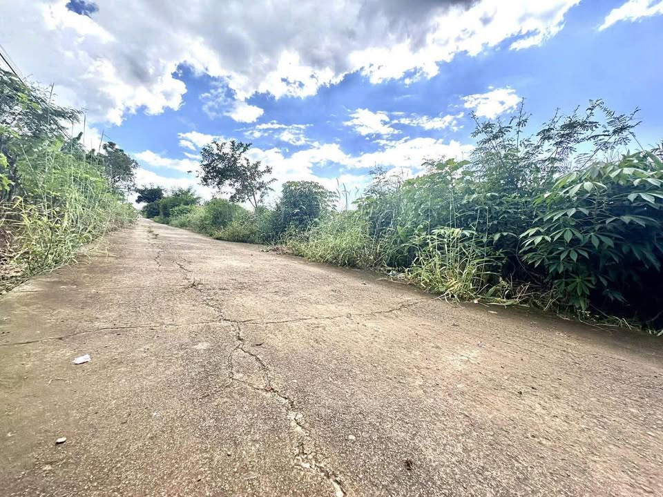 Đất thổ cư Cư ÊBur, Buôn Ma Thuột 180m² giá 692 triệu - Đường bê tông ô tô tránh nhau!