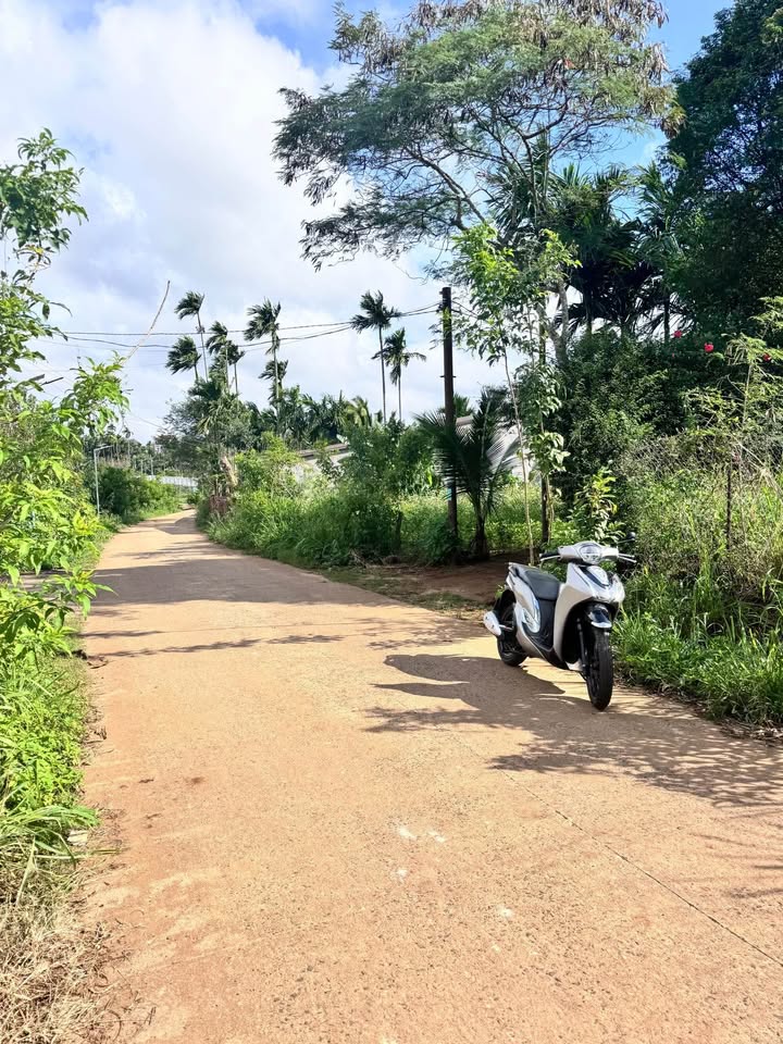 Đất nền Hòa Thắng, Buôn Ma Thuột 280m² giá 2.4 tỷ - Đường nhựa rộng, vị trí đẹp!