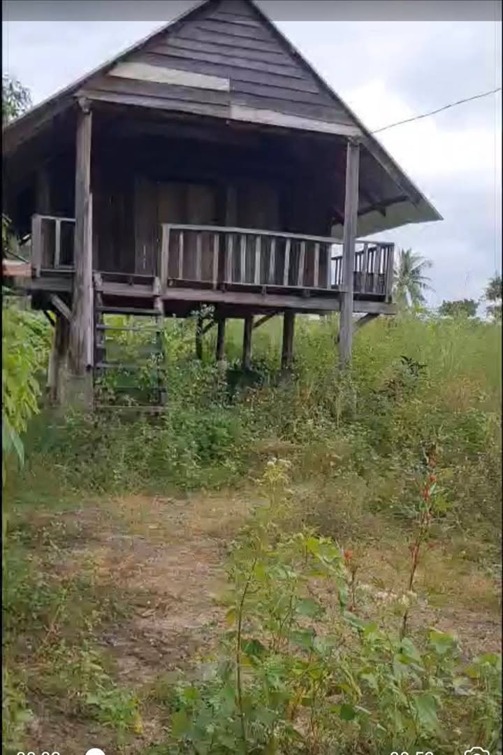 Đất nền chính chủ tại Krông Na, Buôn Đôn, Đắk Lắk - Diện tích 480m² chỉ 450 triệu