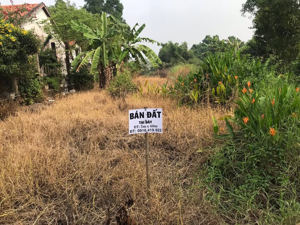 Đất nền mặt tiền đường T12, Bình Chánh, 200m² - Giá tốt, thương lượng!