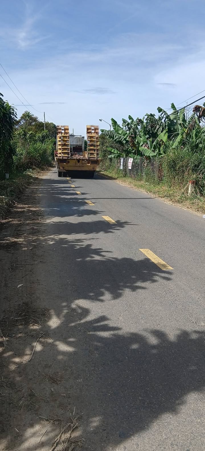 Đất thổ cư 700m² mặt tiền đường lớn tại Tân Lạc, Bảo Lâm - Giá chỉ 1.55 tỷ!