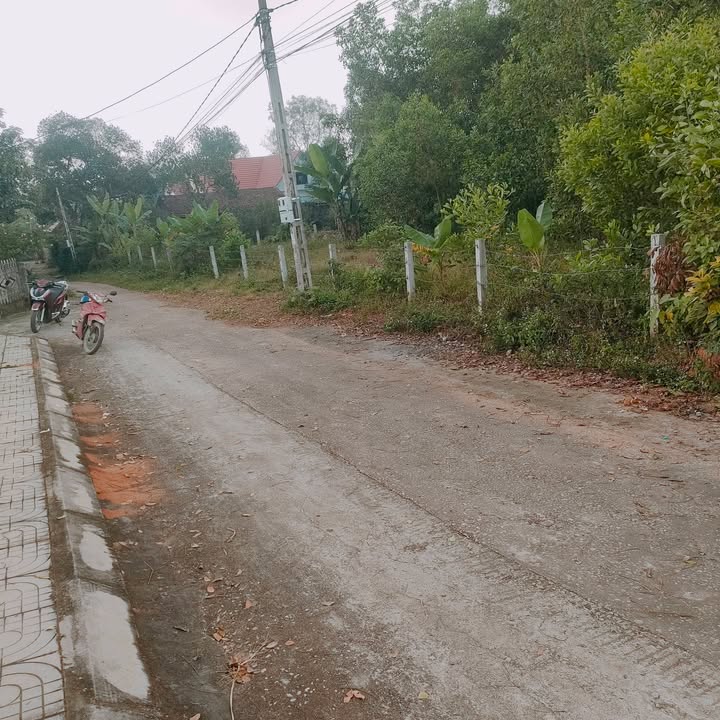 Đất thổ cư 1800m² tại Thôn Thiện Chính, Triệu Sơn - Đầu ve 2 mặt đường!