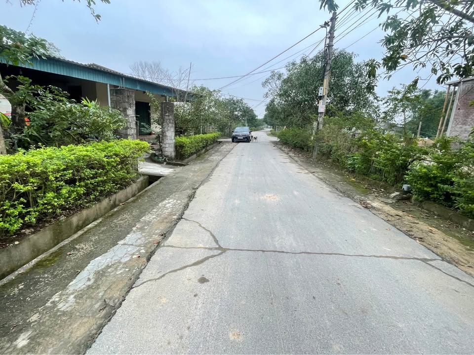 Đất nền Thạch Xuân 250m² giá 1.5 tỷ - Vị trí siêu đẹp, tiện ích đầy đủ!