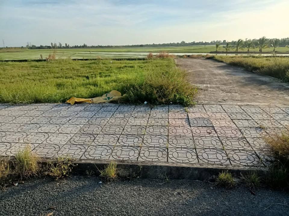 Đất nền chính chủ Mỹ Thuận, Bình Tân, Vĩnh Long 94m² - Giá chỉ 750 triệu!