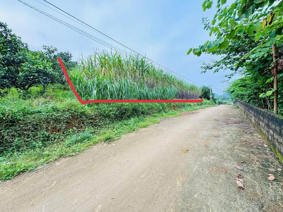 Đất nền Vĩnh Tiến Kim Bôi 800m² giá 1,2 tỷ - Đầu tư sinh lời ngay!