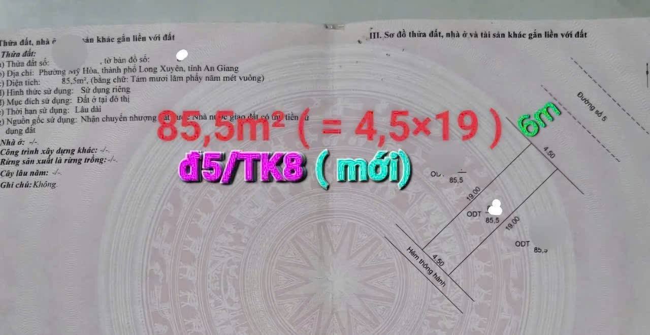 Đất nền Đường 5, phường Mỹ Hòa, Long Xuyên 85.5m² giá 2 tỷ - Vị trí đắc địa gần khu Golden!