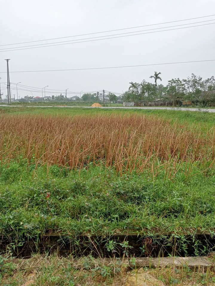 Đất thổ cư 3 mặt tiền thôn Liên Hương, phường Hà Huy Tập, 242m² - Giá chỉ 4 tỷ, thương lượng nhẹ!