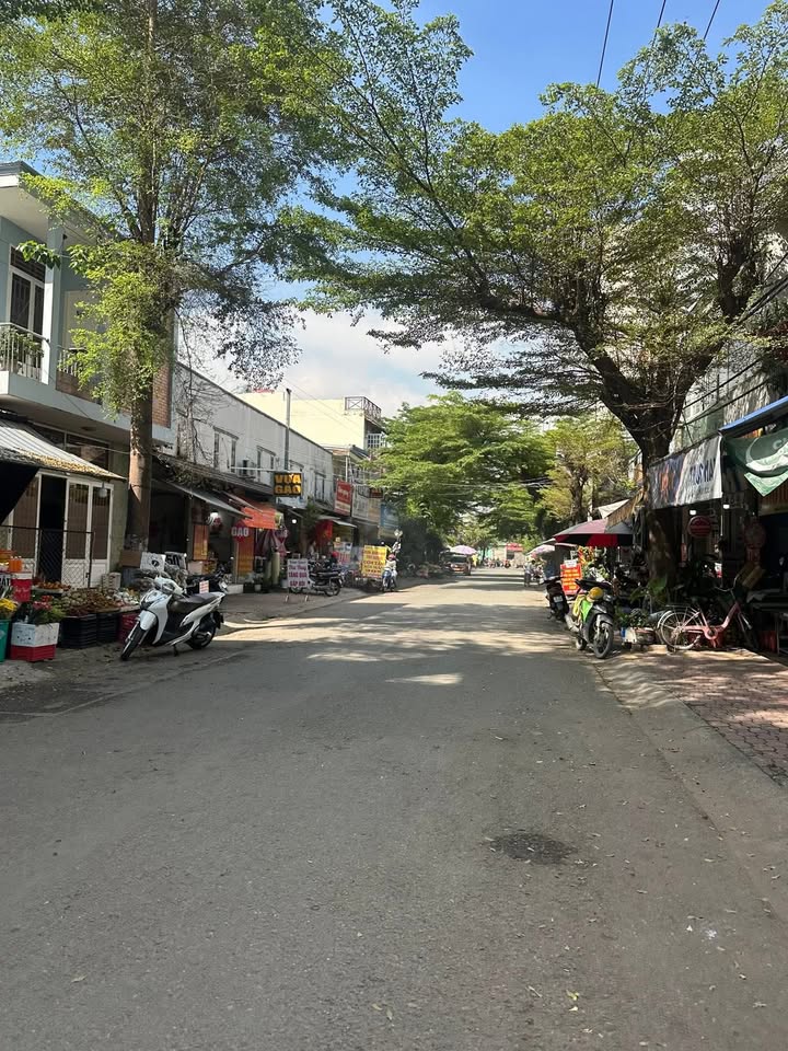 Cho thuê nhà nguyên căn mặt tiền đường Tân Thuận Tây quận 7 - Diện tích 80m², giá 29 triệu/tháng hấp dẫn!