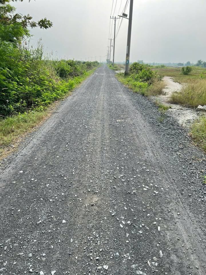 Đất thổ cư 749m² An Thới Đông, Cần Giờ - Giá chỉ 5 tỷ 243 triệu, cơ hội đầu tư tốt!