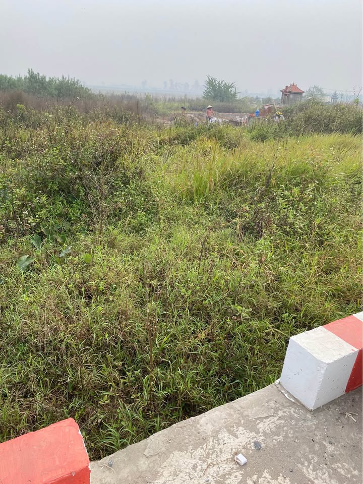 Đất ruộng An Khánh 210m² giá thỏa thuận - Cơ hội đầu tư tuyệt vời!